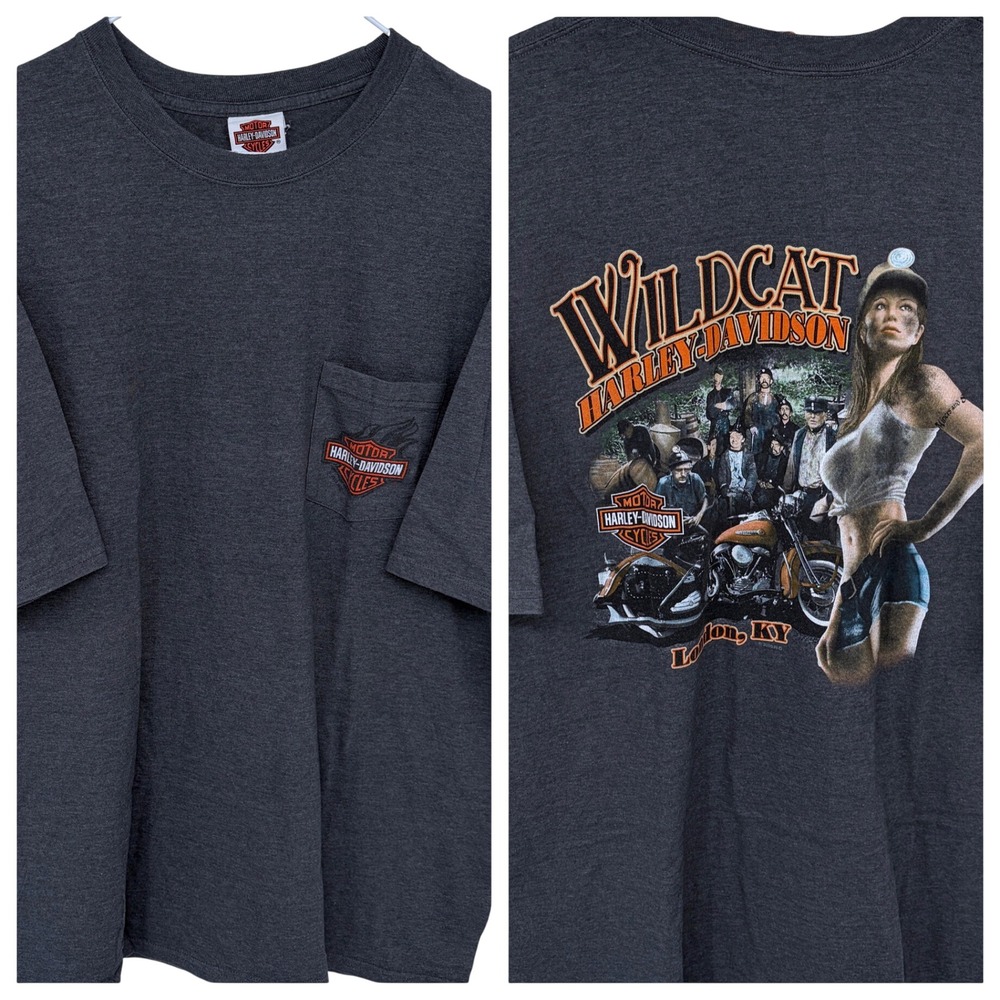 Gray Harley Davidson Motorcycles Graphic T Shirt 2XL London, KY Biker Hot Girl